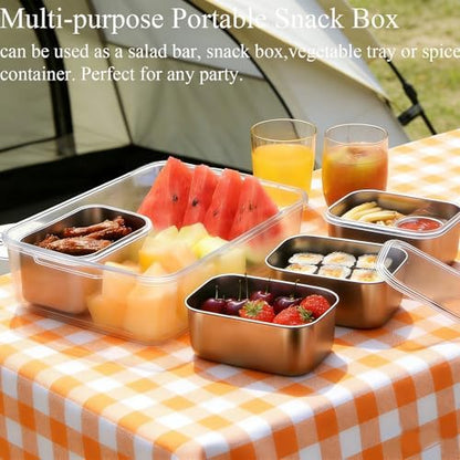 Snackle Box Container, Stainless Steel Divided Serving Tray with Lid and Handle,Large Snack Tray for Fruit Veggie, 4-Compartment Snack Platter for Travel Party Beach Picnic,with Ice Pack(Silver White)