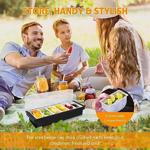 WICHEMI Ice Chilled Condiment Caddy with 6 Removable Trays and Lid, 2 Pack