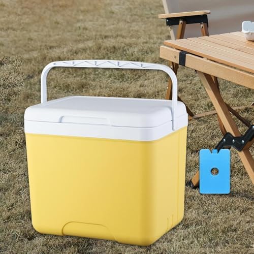 Insulated Cooler Camping Storage Case with Handle Ice Chest Box Organizer for Groceries Travel Picnic Tailgating