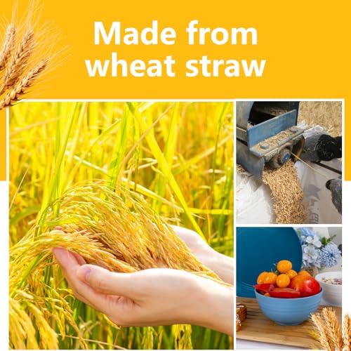 Rubtlamp 16pcs Wheat Straw Dinnerware Set, Unbreakable Plates And Bowls Sets of 4, Plastic Plates Set Reusable (Cold Four Colors) for Camping