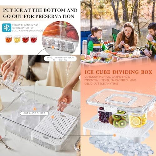 Chilled Snackle Box Container with Ice Tray - 8 Compartment Serving Tray with Lid & Handle, Leak-Proof & Odor-Free Snack Box, Portable Cold Food Platter for Picnic, Party, Travel, Road Trip
