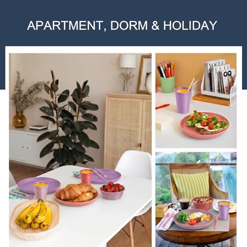 42 Piece Dinnerware Set for 6, Unbreakable Plates and Bowls Sets