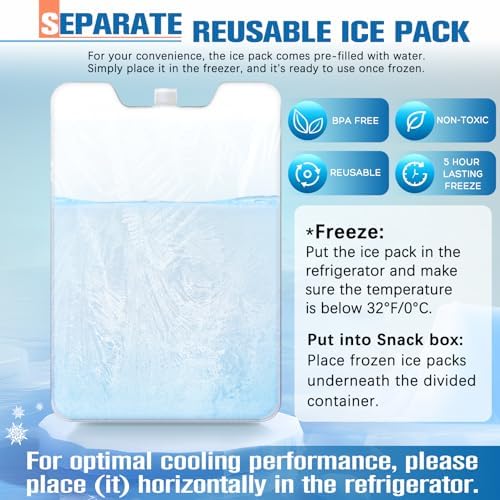Chilled Portable Snackle Box Container with Ice Pack, Beach Essentials for Summer, Divided Serving Tray with Insulated Bag, Snack Containers for Road Trip Charcuterie Snack Picnic, Peony