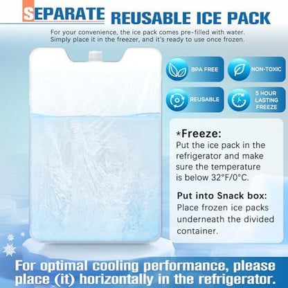 Chilled Portable Snackle Box Container with Ice Pack, Beach Essentials for Summer, Divided Serving Tray with Insulated Bag, Snack Containers for Road Trip Charcuterie Snack Picnic, Peony