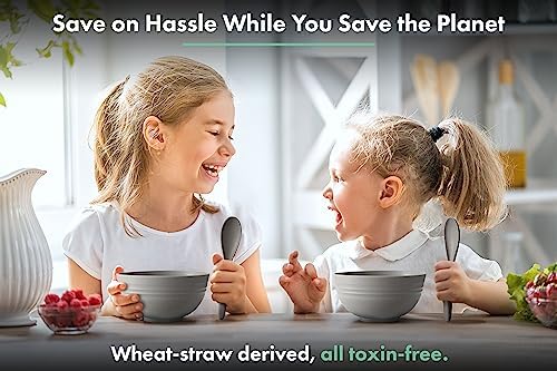 FOODLE Wheat Straw Dinnerware Set - RV, Camping, Picnic Plates Cups & Bowls