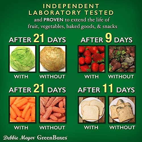 Debbie Meyer UltraLite GreenBox, Reusable Food Storage Containers with Lids