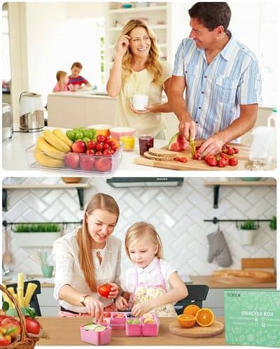 Snackle Box Container Dishwasher Safe Divided Serving Tray with Lid Handle