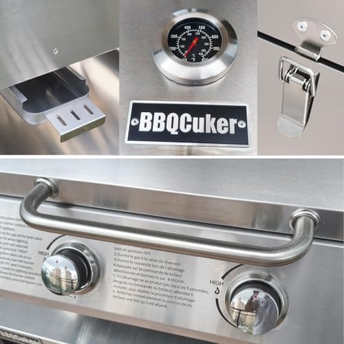 2-Burner Small Tabletop Gas Grill, 20,000 BTU Stainless Steel Grill