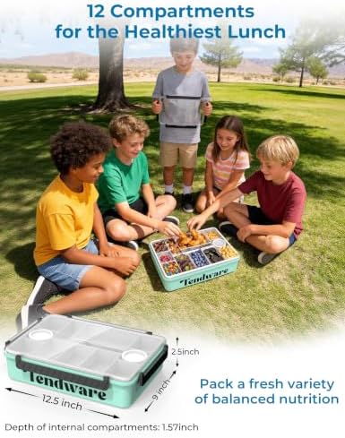 Chilled Snackle Box Container with Ice Pack, Divided Tray with Clear Lid & Bag, 8+Hrs Cooling, Beach Road Trip Essential for Family, Travel Snack Container for Picnic Camping Tailgate, Gifts for Women