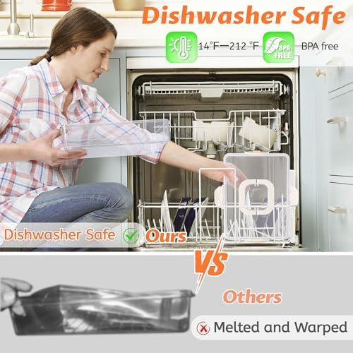 2Pack Snackle Box Containers Dishwasher Safe Divided Serving Tray with Lid