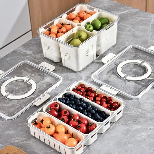 2Pack Divided Veggie Tray with Lid and Handle 4 Compartment Serving Tray with Dividers Portable Travel Snack Storage Containers Stackable Snackle Box Charcuterie Container for Fruit,Vegetable,Salad