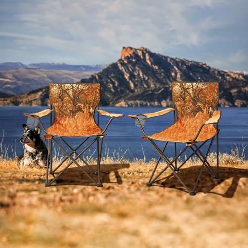 Northroad 2Pack Folding Camping Chairs Portable Animal Print Collapsible Hunting Chair for Outdoor Travel, Patio, Beach, Fishing - Zebra