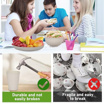 12pcs Wheat Straw Dinnerware Sets, Kitchen Unbreakable Wheat Straw Plates and Bowls Sets for College Dorm Apartment Reusable Beige