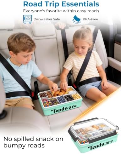 Chilled Snackle Box Container with Ice Pack, Divided Tray with Clear Lid & Bag, 8+Hrs Cooling, Beach Road Trip Essential for Family, Travel Snack Container for Picnic Camping Tailgate, Gifts for Women