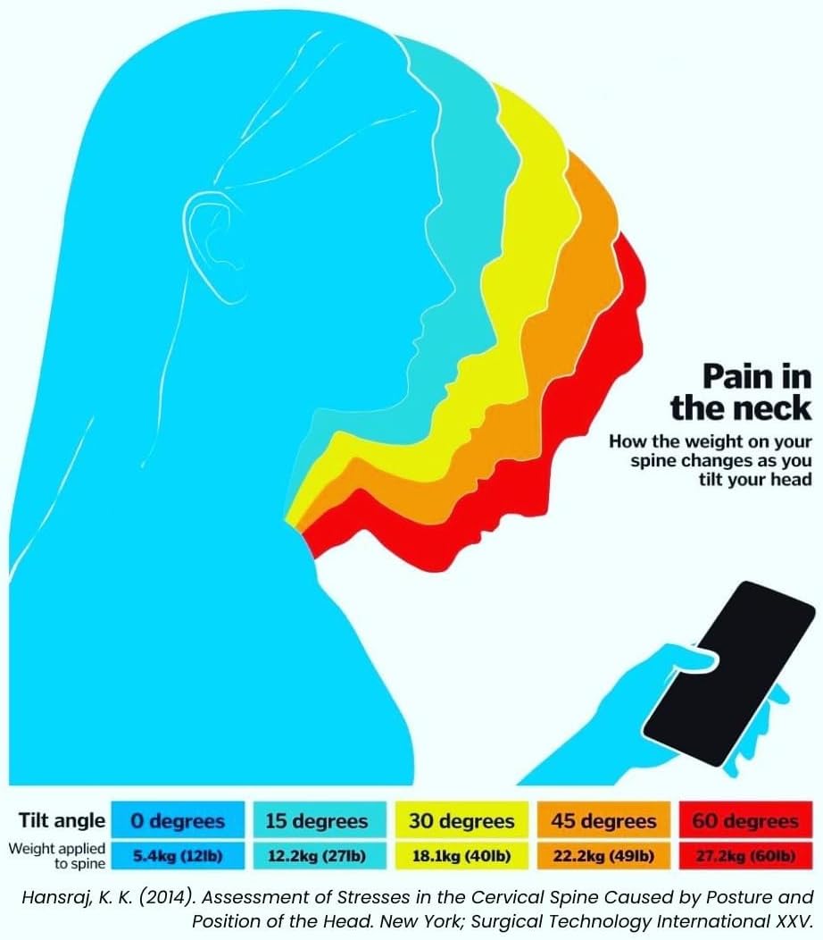 Cabeau Travel Pillow for Long Flights – Evolution X - Memory Foam Neck Support - Comfort On-The-Go for Airplane, Train, and Car (Amethyst)