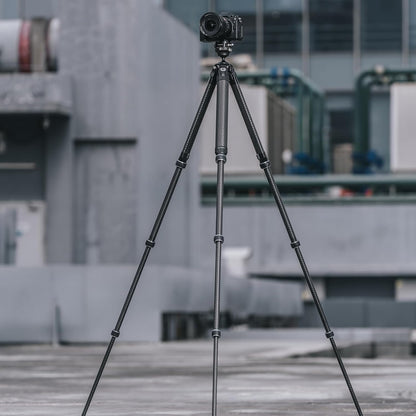 Falcam TreeRoot F38 Pro Carbon Fiber Tripod, 61" Quick Lock Travel Tripod, 5kg Load, F22 Interfaces, 1/4" Screw, Carry Strap Holes for DSLR, Mirrorless, and Video Cameras (R140T)