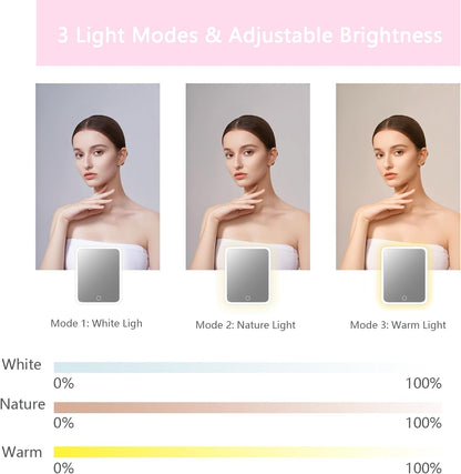 Makeup Bag with Led Mirror,Travel Makeup Organizer with 3 Color Setting, Portable Storage and Adjustable Dividers Travel Makeup Bag(Light Pink)