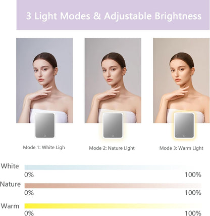 Makeup Bag with Led Mirror,Travel Makeup Organizer with 3 Color Setting, Portable Storage and Adjustable Dividers Travel Makeup Bag(Purple)