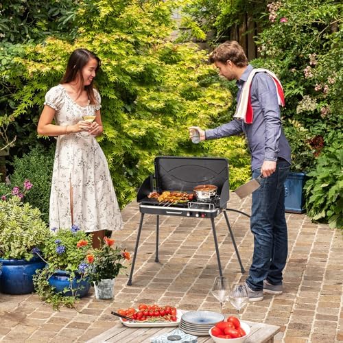2-Burner Gas Camping Stove, Portable BBQ Grill with Detachable Legs, Roast Grill & 3-Sided Wind Screen, 22,000 Total BTUs of Power, Outdoor Propane Burner Grill Stove for Picnic (Black)