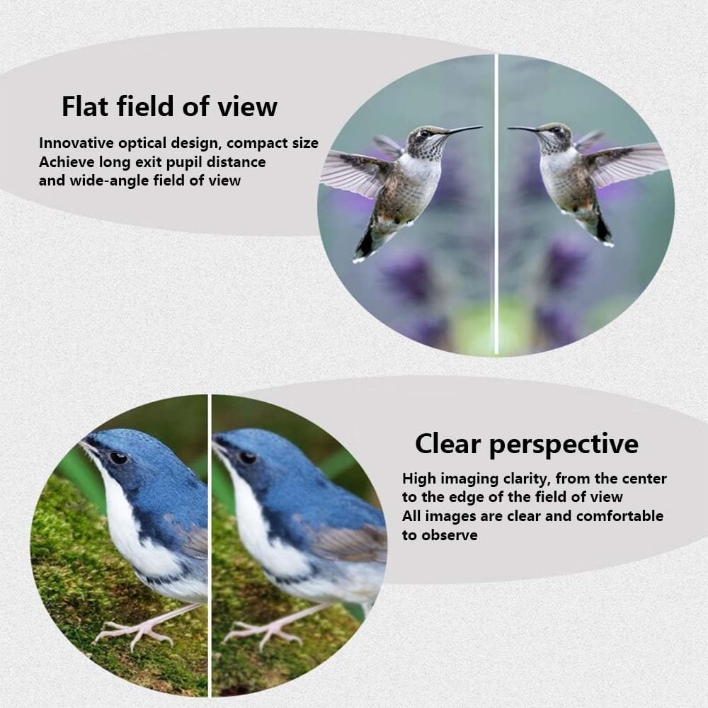 8x42ED Compact Binoculars for Adults – High-Powered BAK4 Prisms, Diamond White Coating, Waterproof & Fogproof, Rubber Armored – Ideal for Bird Watching, Hunting, Travel, Outdoor Sports