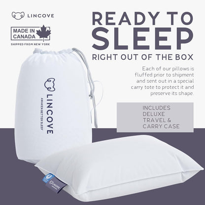 Lincove Microgel Travel Pillow - Global Recycled Standard Certified - Plush and Cozy Luxury Pillow to Support Head, Neck, While Sleeping on Airplanes, Cars, Hotels & Home - 12"x16"