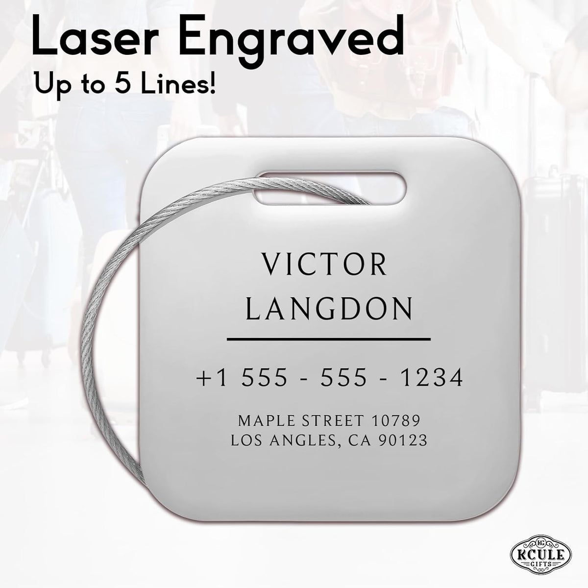 Stainless Luggage Tags for Suitcases: Metal Personalized Luggage Tags and Bags with Customizable Texts (Silver)