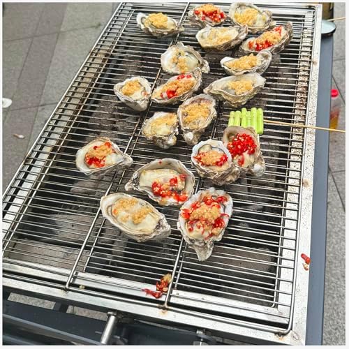 Flip Charcoal Grill, 360° Rotating BBQ for Outdoor Camping