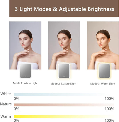 Makeup Bag with Led Mirror,Travel Makeup Organizer with 3 Color Setting, Portable Storage and Adjustable Dividers Travel Makeup Bag(Mocha)