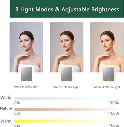 Makeup Bag with Led Mirror,Travel Makeup Organizer with 3 Color Setting & 10X Magnifying Mirror, Portable Storage and Adjustable Dividers Travel Makeup Bag-Dark green