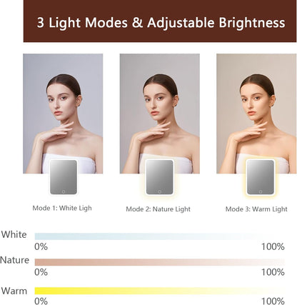 Makeup Bag with Led Mirror,Travel Makeup Organizer with 3 Color Setting, Portable Storage and Adjustable Dividers Travel Makeup Bag(Dark brown)