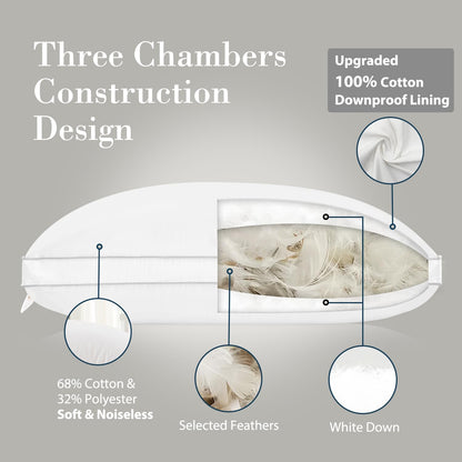 Globon Luxury Feather Down Pillow Standard Queen Size for Sleeping, Hotel Collection Fluffy Pillow, Low Soft Gusseted Bed Pillows, 18"X26", Pack of 1