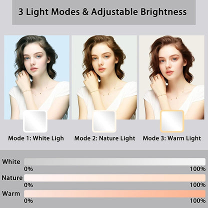 Makeup Bag with Led Mirror,Travel Makeup Organizer with 3 Color Setting & Jewelry storage box, Portable Storage and Adjustable Dividers Travel Makeup Bag(Black)