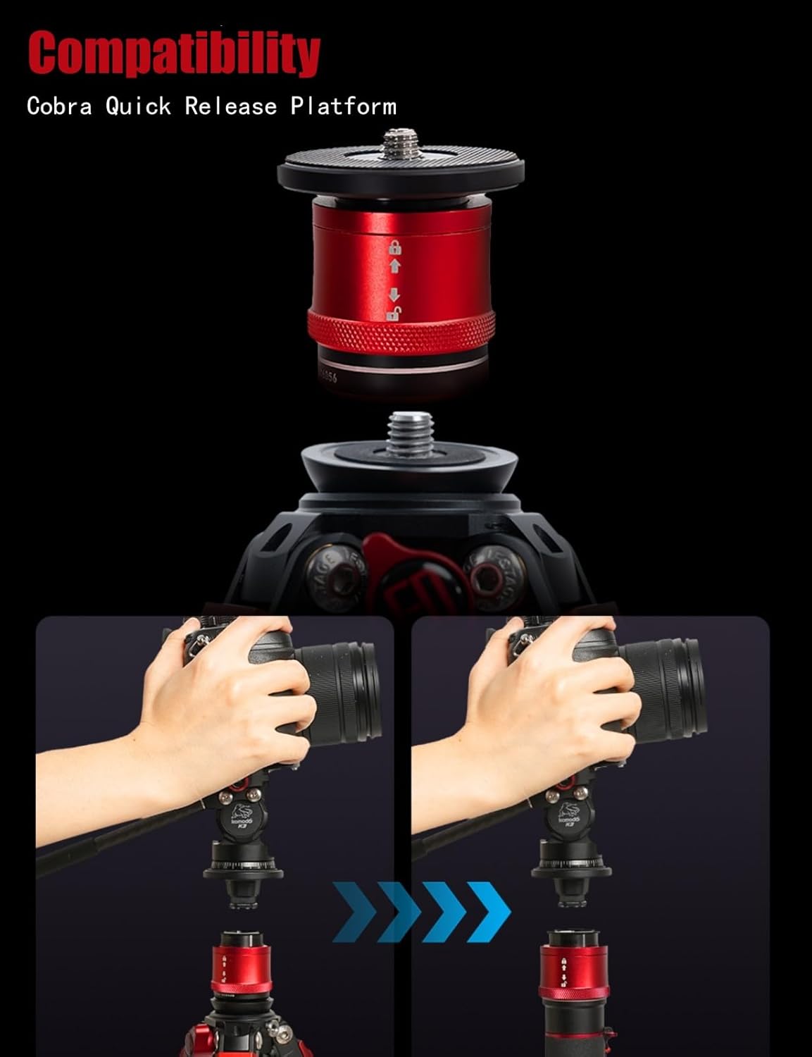 IFOOTAGE Gazelle TA3B+Komodo K3 Aluminum Camera Tripod with Fluid Head,Portable Travel Tripod,for Professional Photography, Content Creation, Vlogging and Video Production