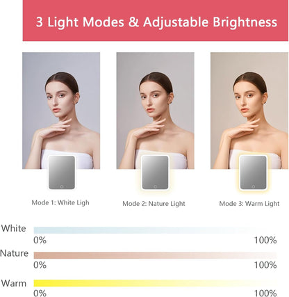 Makeup Bag with Led Mirror,Travel Makeup Organizer with 3 Color Setting, Portable Storage and Adjustable Dividers Travel Makeup Bag(light red)