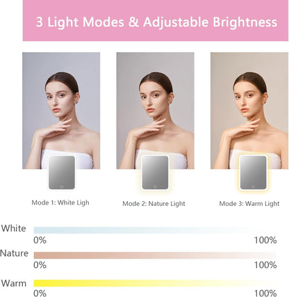 Makeup Bag with Led Mirror,Travel Makeup Organizer with 3 Color Setting, Portable Storage and Adjustable Dividers Travel Makeup Bag(Dark Pink)