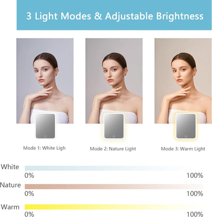 Makeup Bag with Led Mirror,Travel Makeup Organizer with 3 Color Setting, Portable Storage and Adjustable Dividers Travel Makeup Bag(blue)