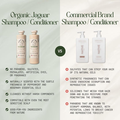 Natural Shampoo for Hair Care, Sulfate Free Shampoo with Castor Oil, Honey, Biotin, Glycerin, Aloe Vera & Mild Thickening Agent, Unscented, Dry to Color Treated to All Hair, 13.5 fl oz