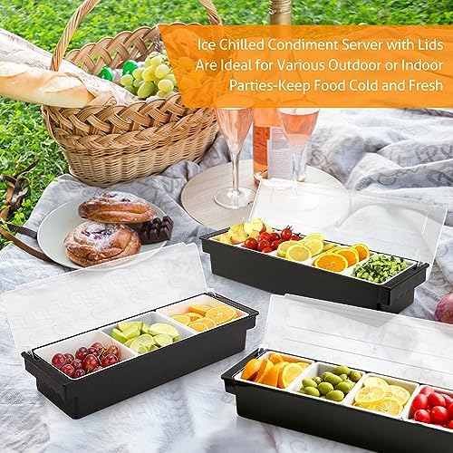 WICHEMI Ice Chilled Condiment Caddy with 3 Removable Trays and Lid, 2 Pack