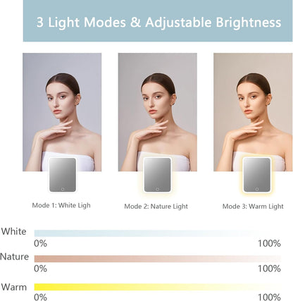 Makeup Bag with Led Mirror,Travel Makeup Organizer with 3 Color Setting, Portable Storage and Adjustable Dividers Travel Makeup Bag(baby blue)