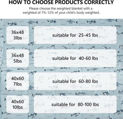 L'AGRATY Weighted Blanket - 36"x48" 3lbs Weighted Blanket Microfiber Material with Glass Beads Small Blanket for All-Season Summer Fall Winter Soft Thick Blanket