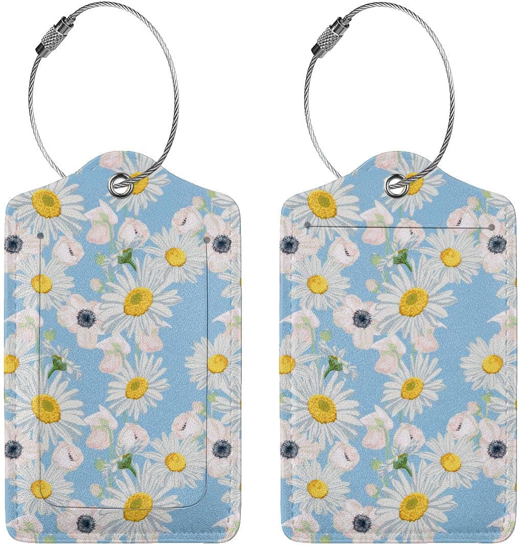 2 Pack Luggage Tag for Suitcase, Cute Unique Leather Suitcase Tags Identifiers with Privacy Name Address Labels & Durable Steel Loop for Women Men Travel