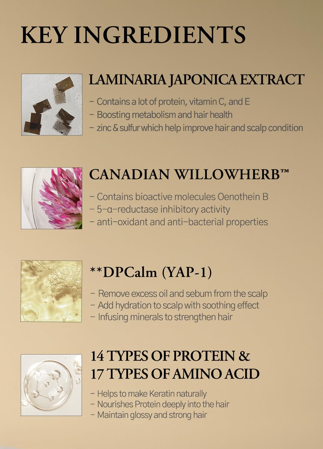 laferme Laminaria Shampoo with Organic Ingredient, Korean Clarifying Shampoo, Hydrating for Dry Hair, Strengthening for Weak Hair, Sulfate & Paraben free, For Women & Men (16.9 FL. OZ., White Musk)