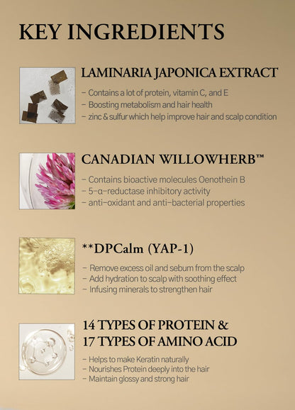 laferme Laminaria Shampoo with Organic Ingredient, Korean Clarifying Shampoo, Hydrating for Dry Hair, Strengthening for Weak Hair, Sulfate & Paraben-Free, for Women & Men, 33.8 FL OZ, Pine Eucalyptus