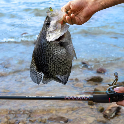 KastKing Brutus Spinning Rods & Casting Fishing Rods, Brute Tuff Composite Graphite & Glass Blanks, Stainless Steel Line Guides w/Zirconium Oxide Rings Tip Top, Chartreuse Strike Tip