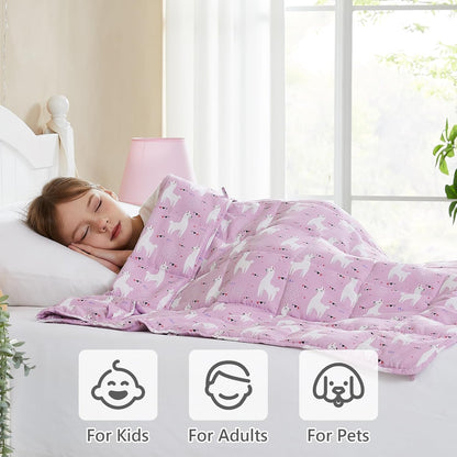 L'AGRATY Weighted Blanket - 40"x60" 7lbs Cooling Breathable Weighted Blanket Microfiber Material with Glass Beads