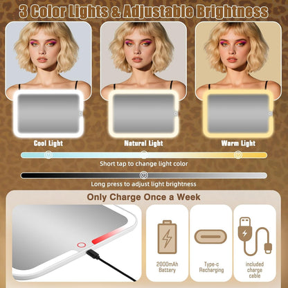 Large Travel Makeup Bag with LED Mirror, 3-Color Stepless Dimming Stand Mirror Detachable, with Adjustable Divider, Makeup Brush Holder Storage (Leopard)