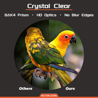 12x42 HD Binoculars for Adults,Super Bright BAK4 Prism High Powered Waterproof Binoculars with Low Light Vision for Bird Watching Outdoor Hunting Travel Hiking Sports Stargazing Cruise (Green)