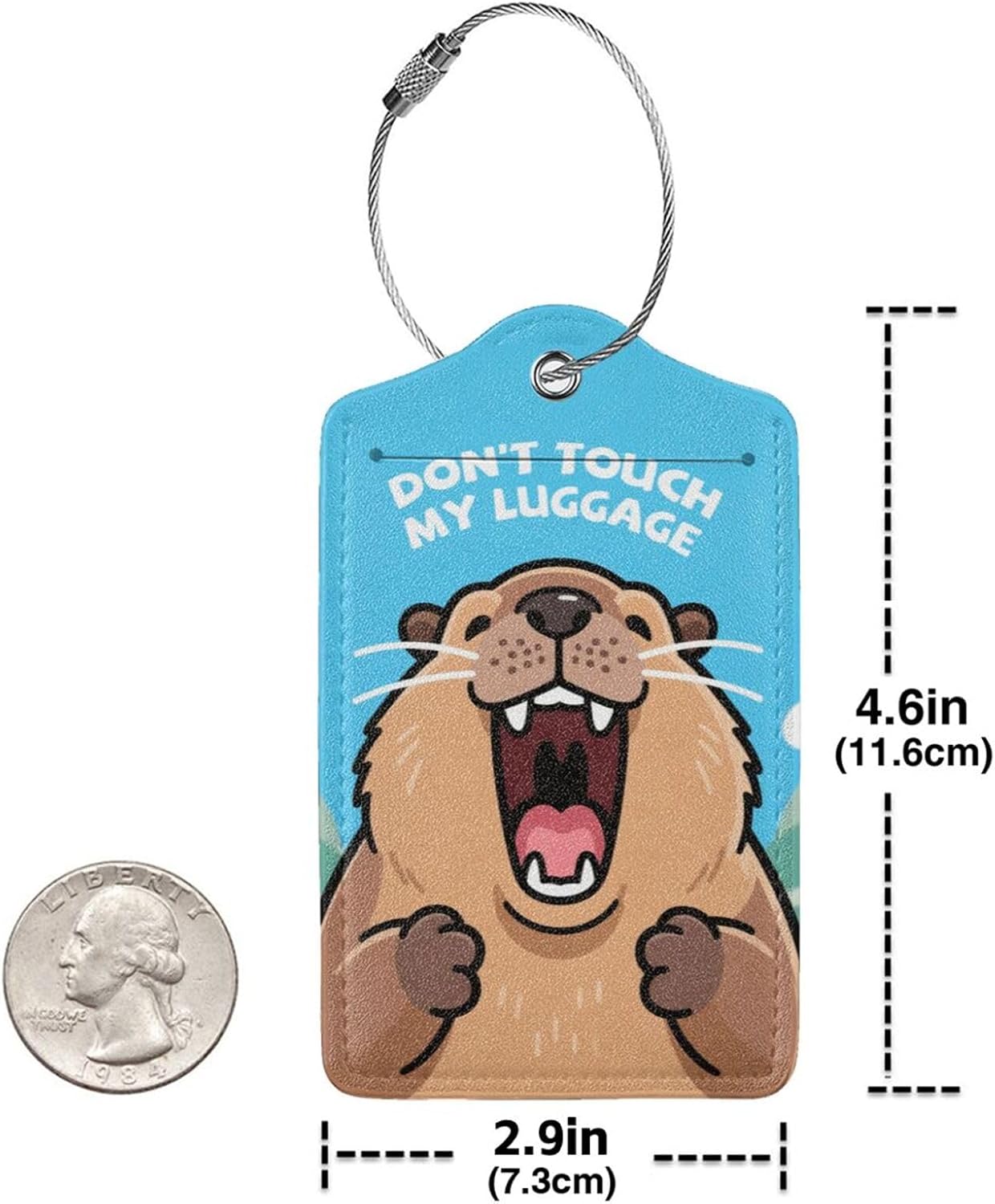 Fun Luggage Tags for Suitcases Leather Name Tag for Luggage Cute Travel Baggage Tags for Carnival Cruise Ships with Funny Patter 2pcs (Blue Capybara)