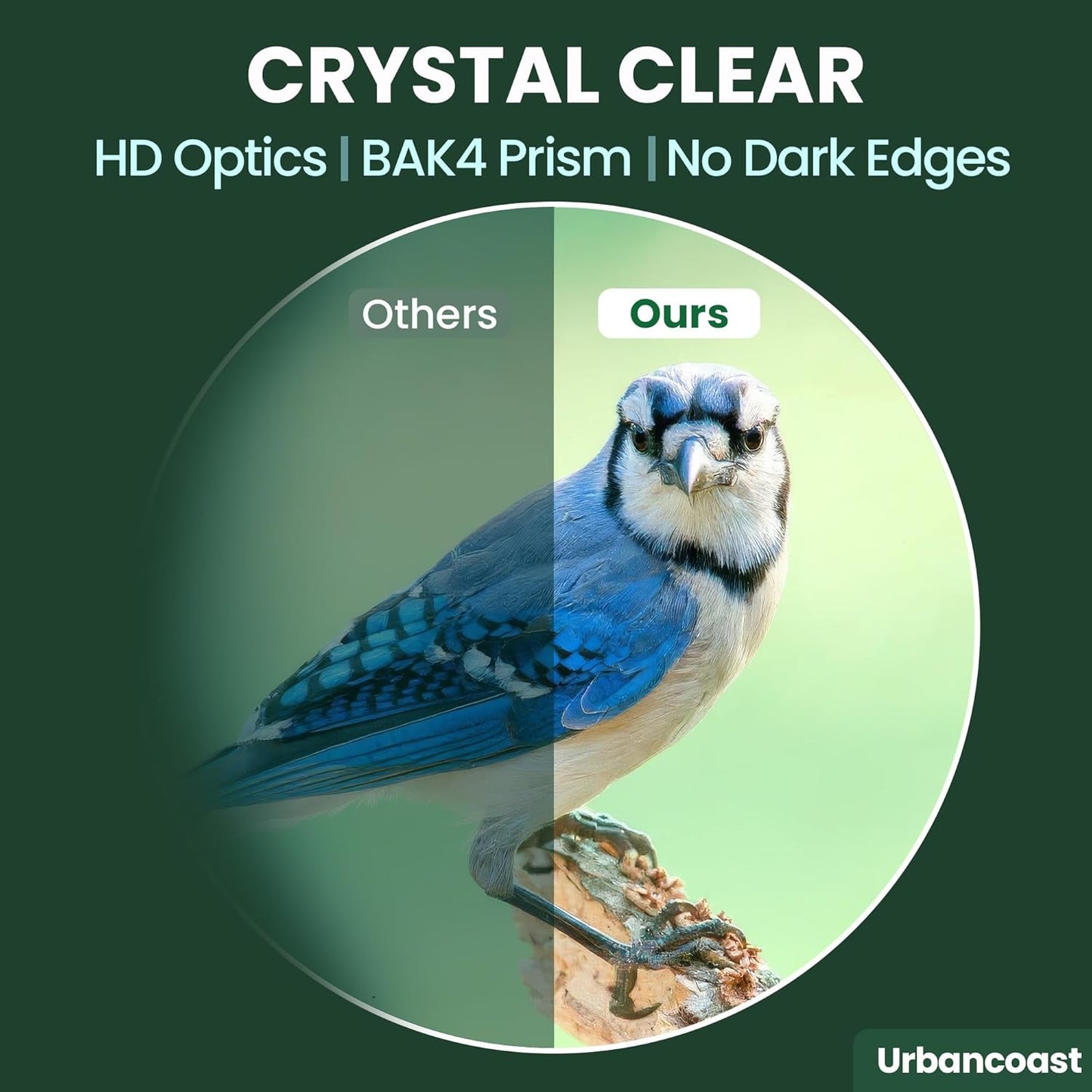 12x32 Compact Binoculars for Adults and Kids - High Powered Lightweight Small Binoculars with Large View - Super Bright Waterproof Binocular for Bird Watching Travel Cruise Ship Hiking Sports Concert