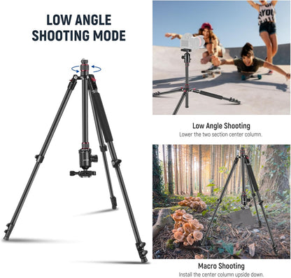 NEEWER 77” Camera Tripod Monopod with Phone Holder, Portable Travel Tripod with Remote, 360° Ball Head, 2 Axis Center Column, Arca QR Plate and Bag, Aluminum DSLR Tripod 34lb Max Load, TP77